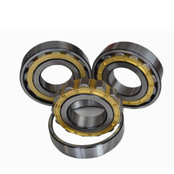 BC1-738A Nj206 Nj208 Nj210 Cylindrical Roller Bearing