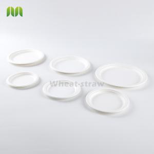 Quality Bagasse sugarcane paper plate dishes disposables for sale