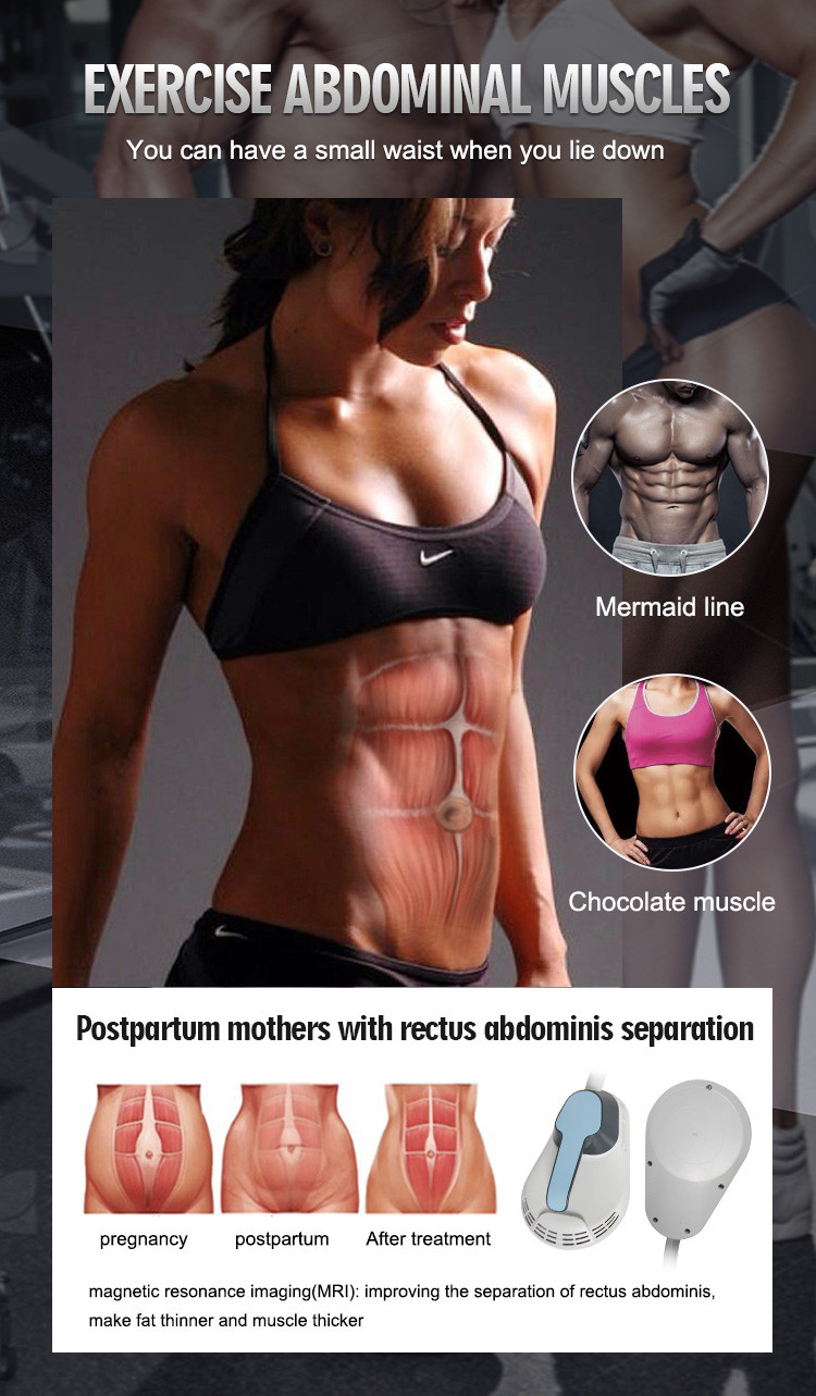 Non Invasive Body Shaping Slimming Machine 50Hz 60Hz EMS Fat Burning Machine