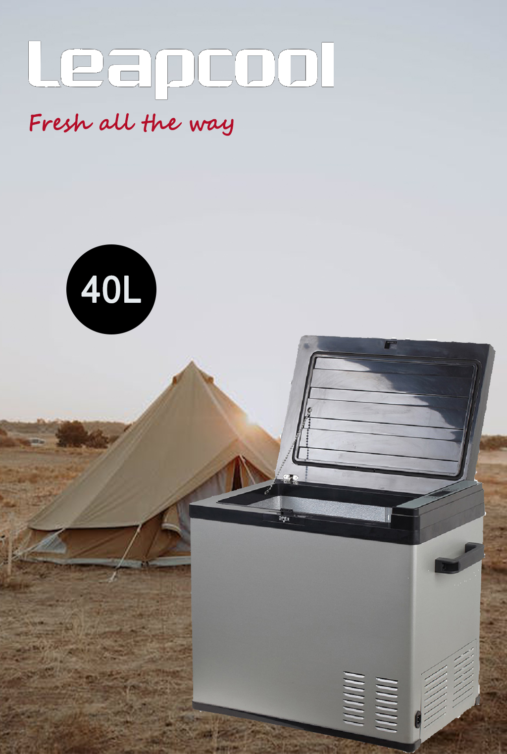 Portable 12 24 Volt DC Compressor Refrigerator And Freezer For RV Car Truck Campervan