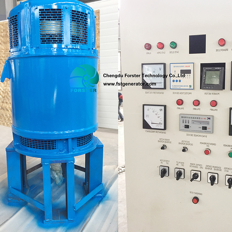 Low RPM 300KW Kaplan Turbine Generator Alternative Power Production