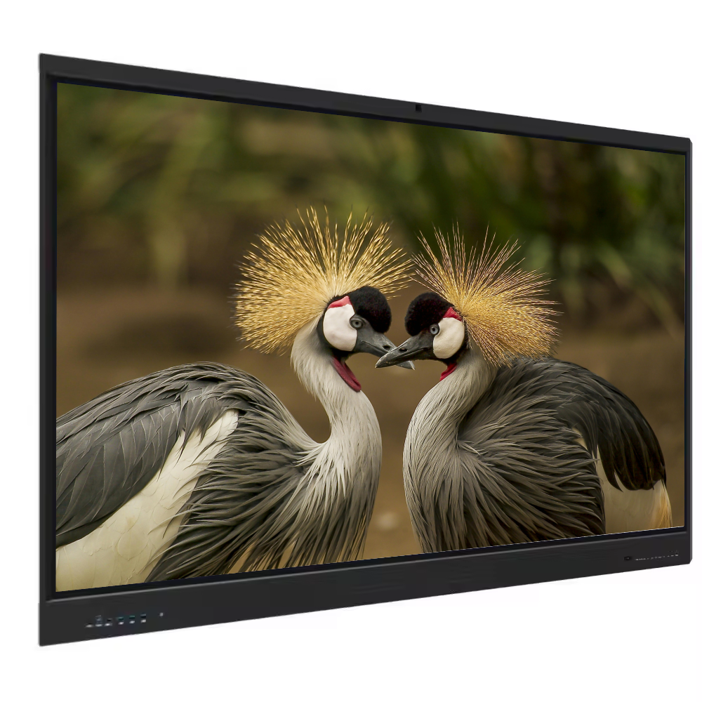 Manufacturer IBoard 65 Inch Interactive Whiteboard Smart Board Interactive Flat