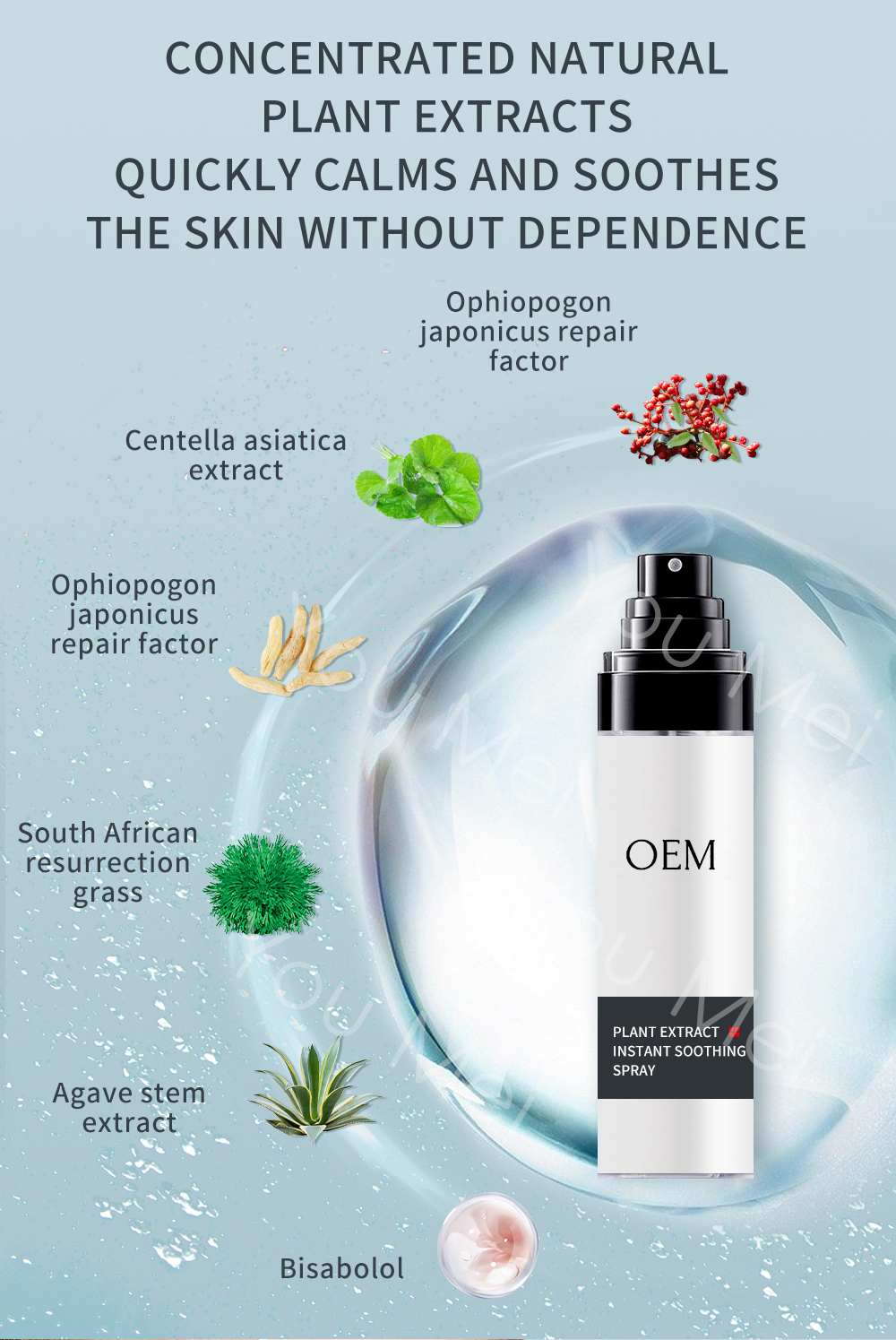 Natural Centella Skin Cleansing Water Facial Toner Moisturizing Hyaluronic Acid Face Mist