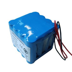 Quality SGS Deep Cycle 4S6P 15Ah Electric Bicycle Lipo Battery Packs for sale