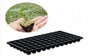 China Tomato Grow Plant 200 Cell Seed Trays Rectangle Nursery Trays on sale