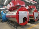 WNS Type Integrated Condensing Combi Boiler / Oil And Gas Boiler For Paper
