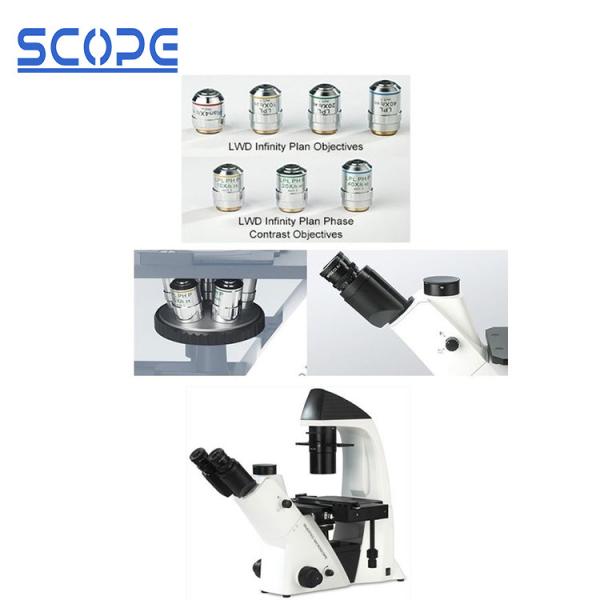 Quality Live Cell Inverted Biological Microscope , Inverted Compound Microscope for sale