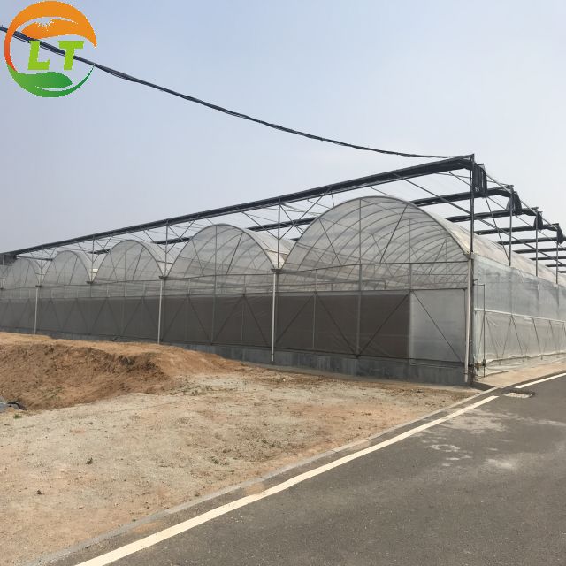 LiTai Greenhouse Multi-Span Film Agriculture Greenhouse with Steel Frame Construction