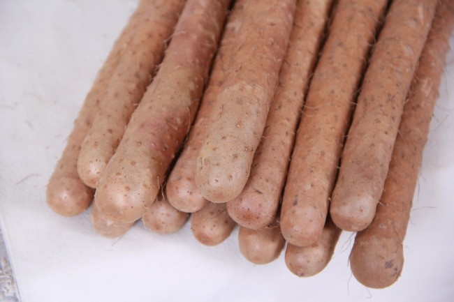 100% Natural Diosgenine Wild Yam Herb Extract
