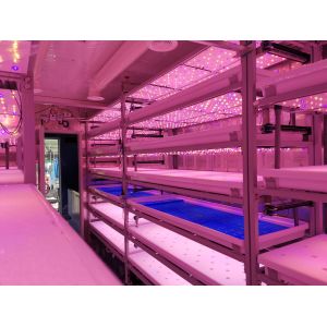 Quality 25.5 Sqm Automatic Hydroponic Plant Containers Zero Pollution for sale