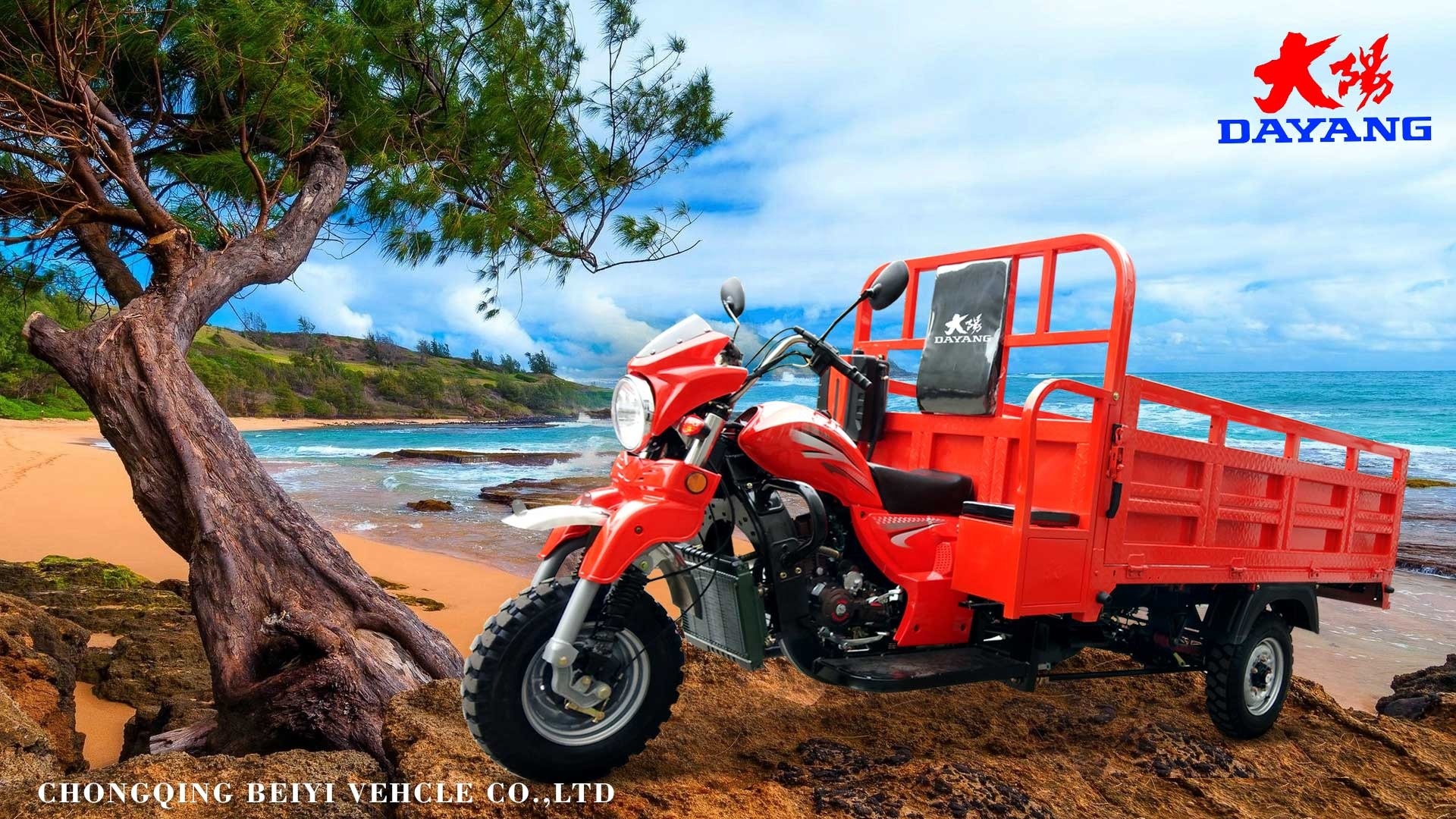 Motorized 150CC Cargo Tricycle with Glass Headlight and 10-20L Fuel Tank Capacity