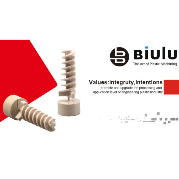 OEM PEEK Plastic Machining Custom Peek Screw Sapre Part High Performance