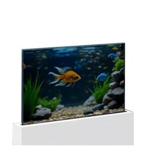 Transparent LCD Touch Screens Digital Signage , 4k OLED Transparent Display