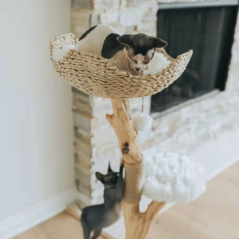 Natural Wood Cat Tower Multi Level Modern Design for Easy Climb by Small and Old Cats