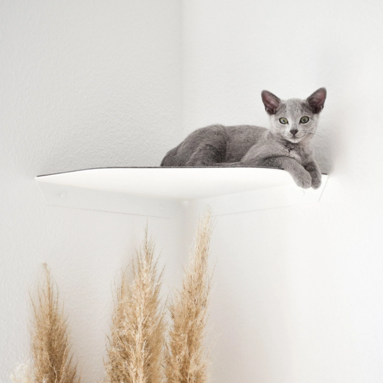 Wall-Mounted Cat Shelf Modern Metal Cat Room Seat with Pre-Drilled Installation