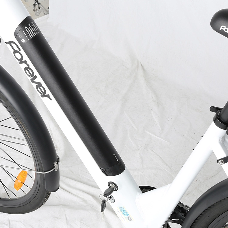 36V 250W Lady City Electric Bicycle 28 Inch 7 Speed E Bike For Charging Time 3 Hours