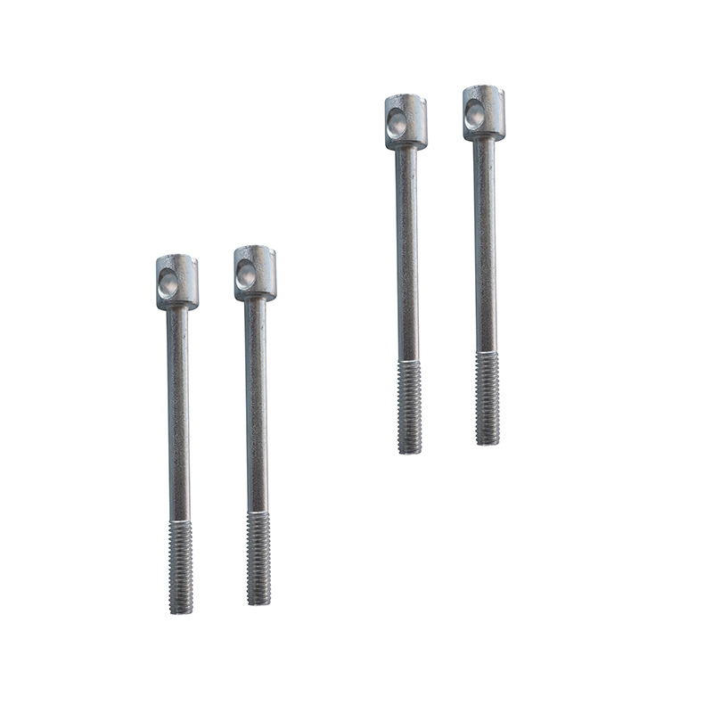 Electric meter sealing screws