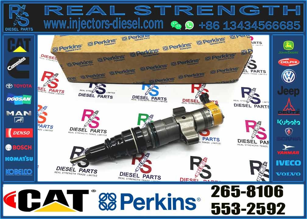 Injector For 254-4339 254-4340 258-8745 265-8106 266-4446 267-3360 267-3361 With Good Machine