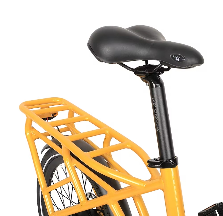 20 Inch Retro Dual 250W Electric Cargo Bike 7 Speed 36V 7.8Ah Lithium Battery