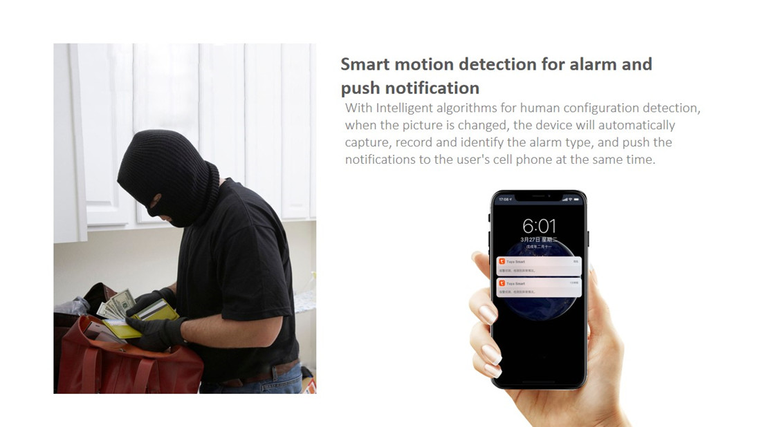 Smart Wireless 1080P P&T Camera(E95A)