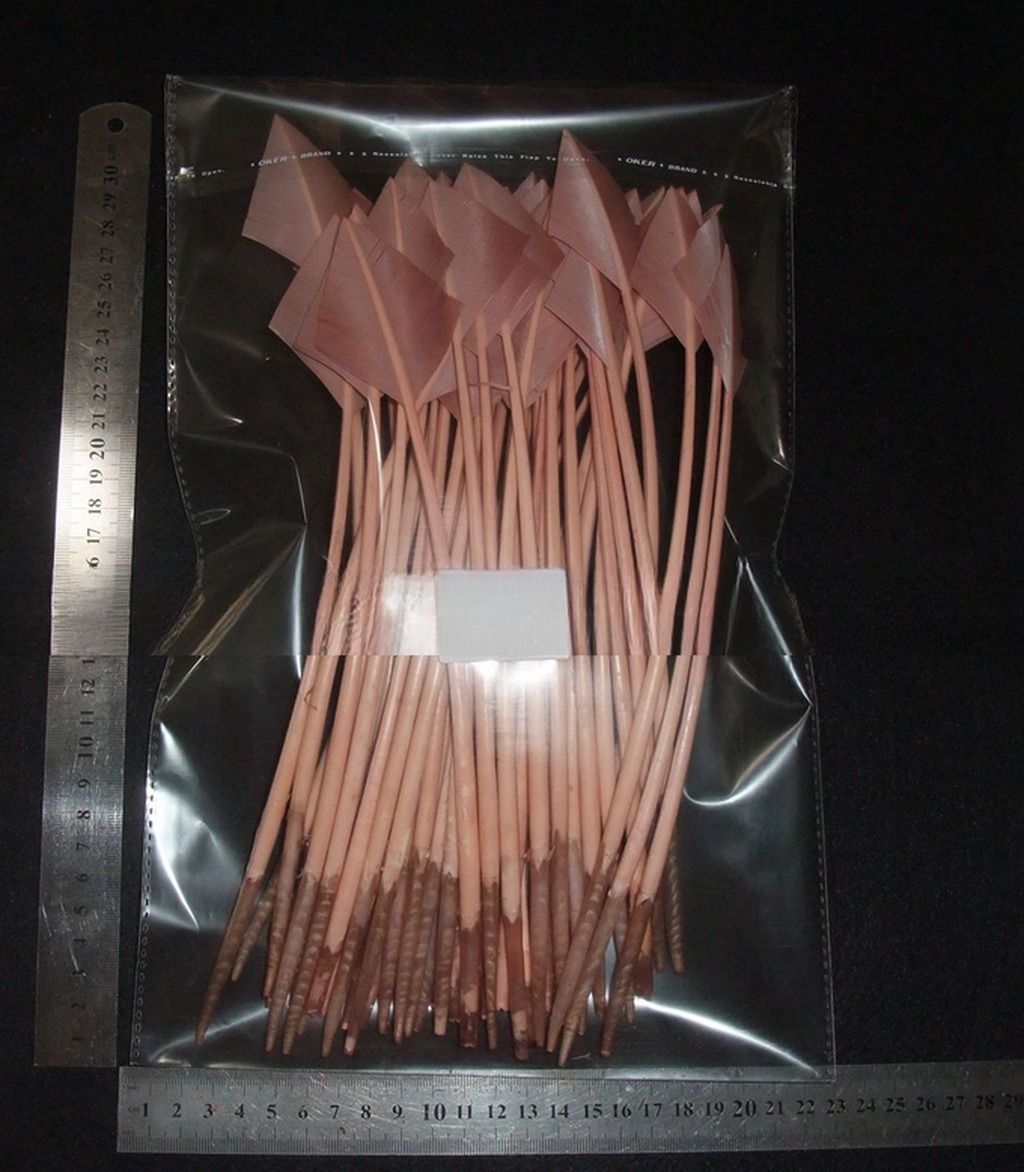 Dyed Arrow Head Striped Turkey Feather Quill with Silk Screen Printing