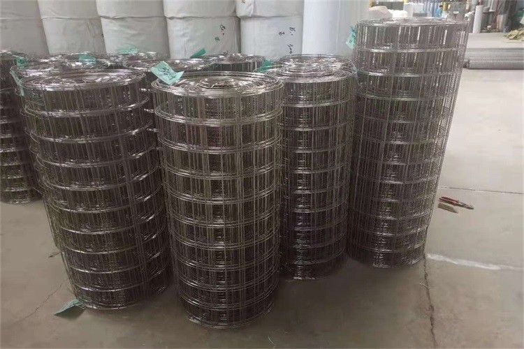 1/2 Inch X1/2 Inch 0.6mm Stainless Steel Welded Wire Mesh