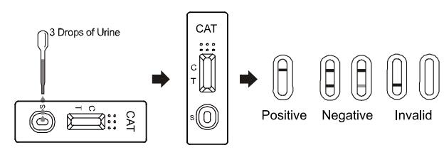 150ng/Ml 95.8% High Accurate CAT Urine Test Drug Abuse Test Kit