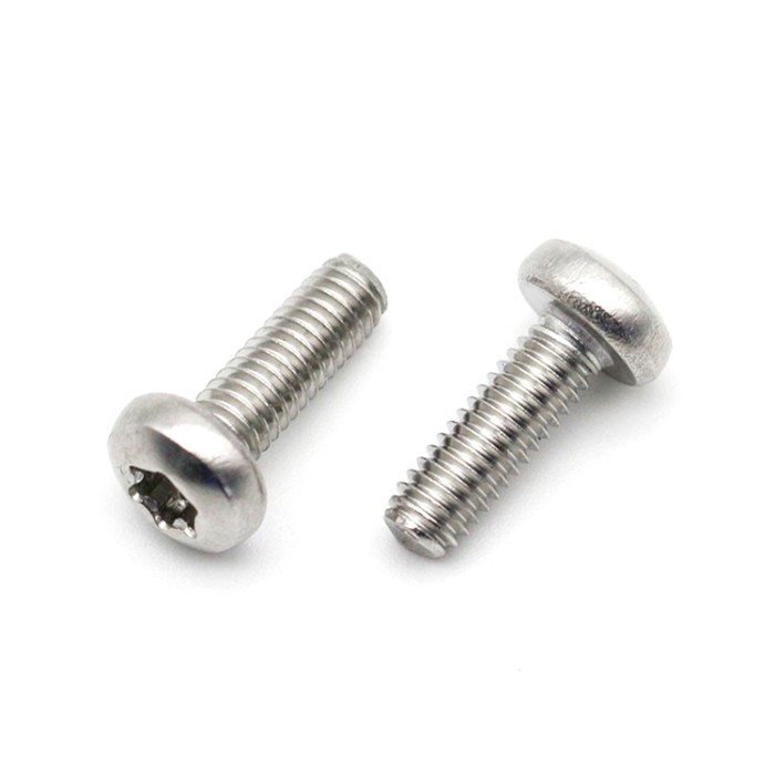 Small Six Lobes Hex Socket Stainless Steel Pan Head Torx Screw