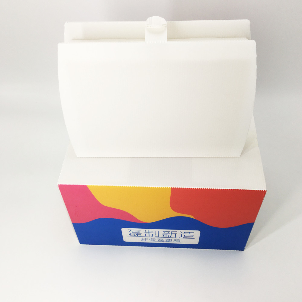 2.5mm Reusable Impact Resistance Corrugated Plastic Carton Polypropylene Carbonate Box