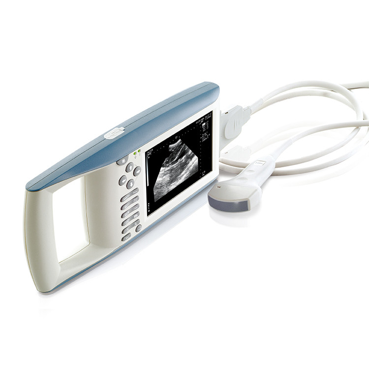 B Mode Medical Ultrasound Machine Diagnostic KX5100 VET Veterinary Instruments