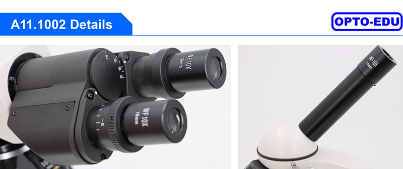 A11.1002 Mechanical Stage LED Illumination Achromatic Binocular Biological Microscope