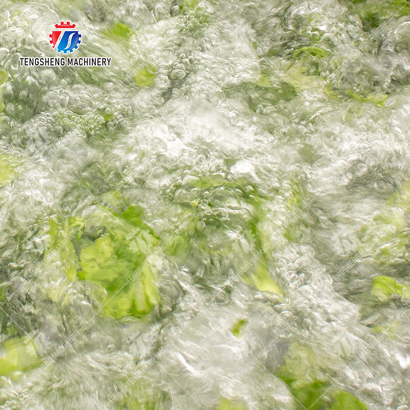 High Efficiency Fruits And Vegetables Washer For Dandelions Coriander