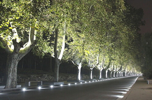 70W Super Brighter COB Black LED Outdoor Flood Light 3000K Bridgelux AC265V LED Lights