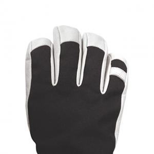 China Polyfill Insulation Warm Winter Ski Gloves Windproof Waterproof on sale