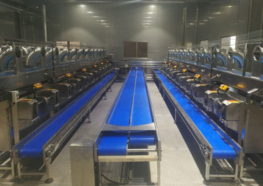 Automatic Control Coconut Milk Processing Plant / 4000LPH Fruit Processing Plants