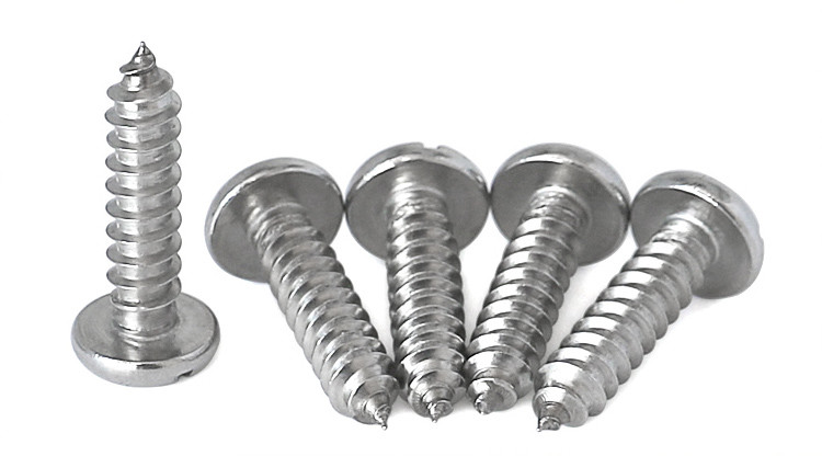 Stainless Steel Slotted Drive Pan Head Tapping Screws Slotted Drive Rounded Head Pointed Screws
