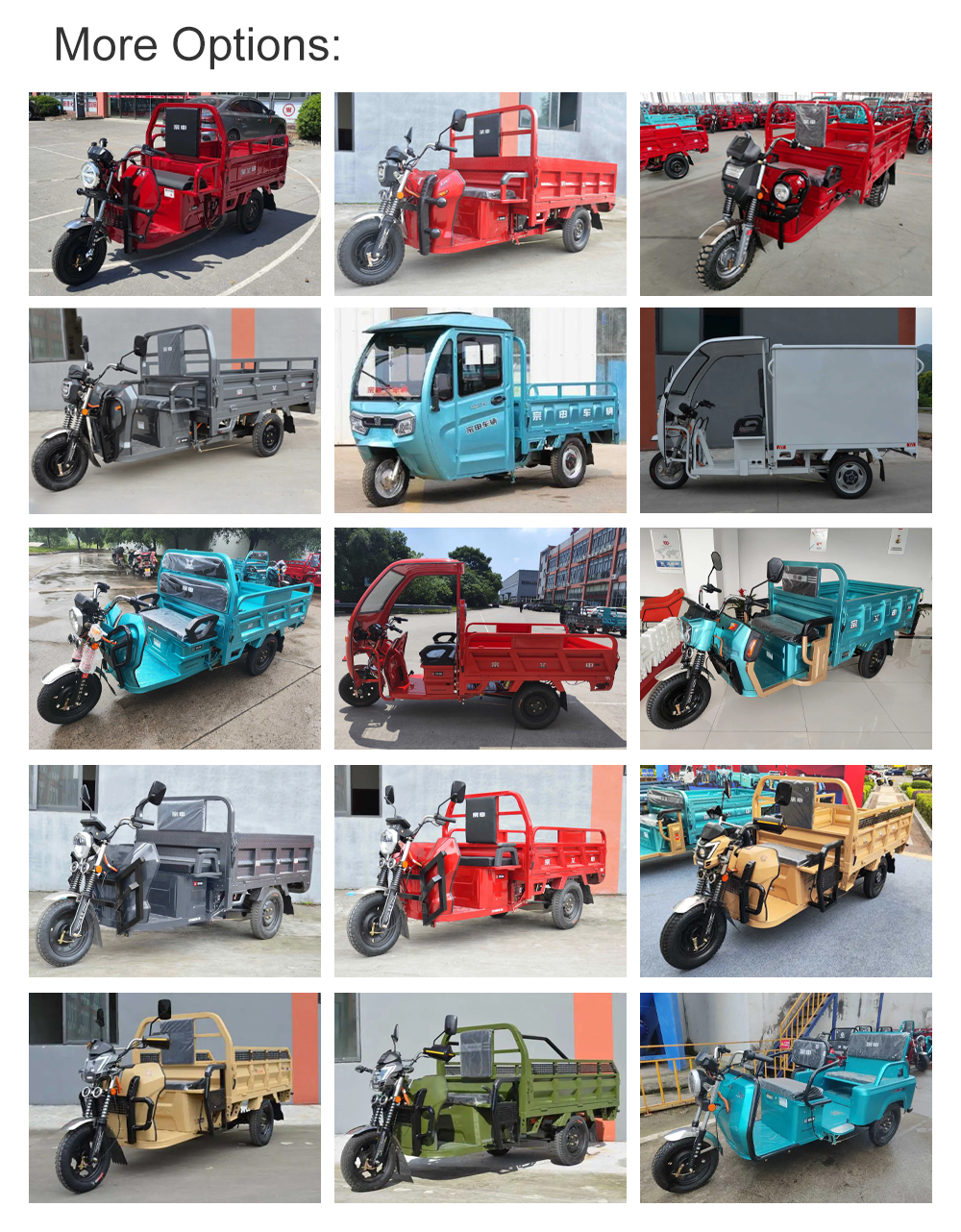 Three-Wheeled Motorcycles Cargo Trucks E Tricycles / Heavy Duty Electric Powered Trikes