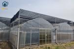 Indoor Strawberry Growing Troughs Greenhouse PVC Hydroponic Gully Vertical