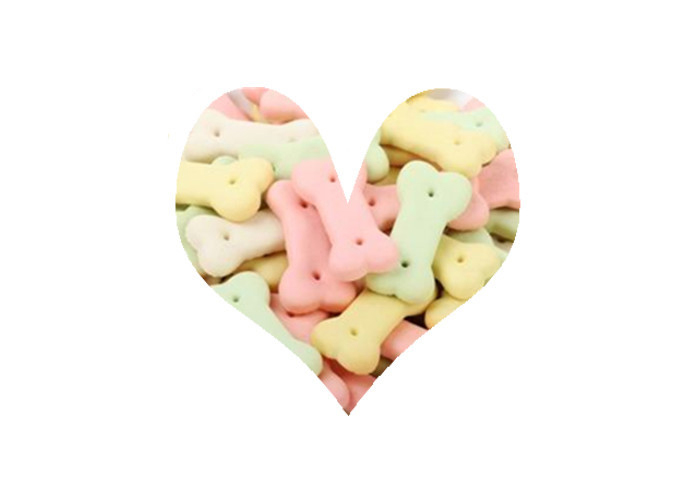 Stainless Steel Material Customized Color Pet Biscuit Making Dog Snacks Processing Line