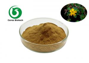 China Pure Natural Damiana Herbal Extract Powder 10/1 50/1 100/1 on sale