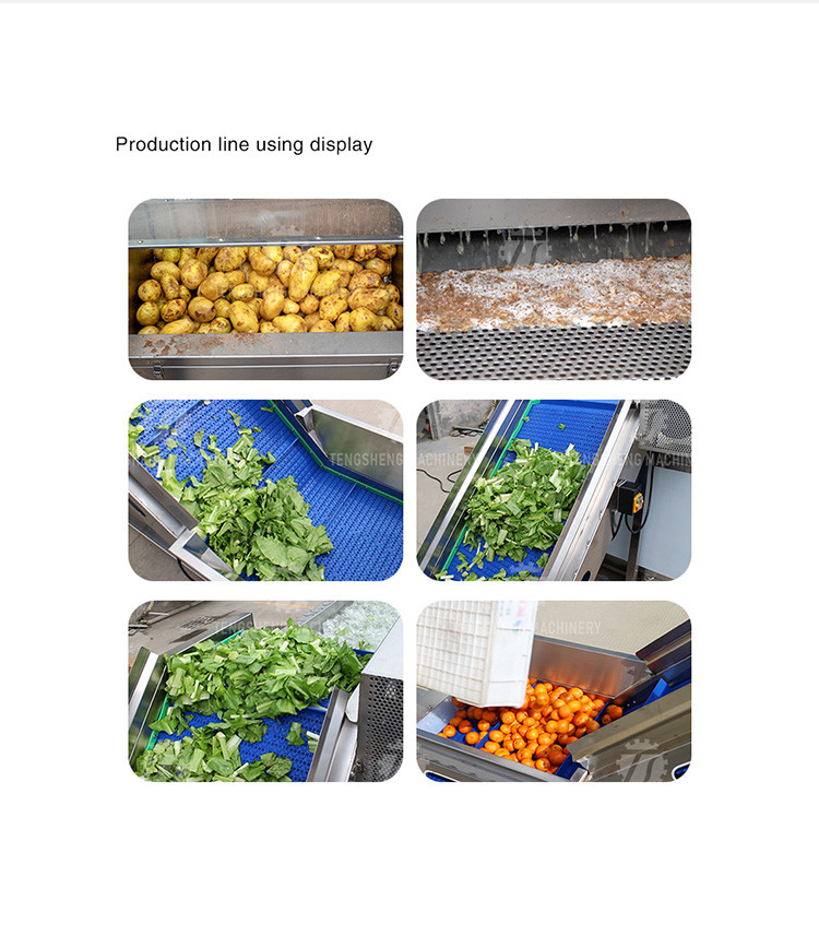 1.5 Tons / Hour Fruit And Vegetable Processing Line Root Brush Washing