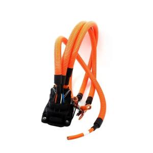 Customized New Energy Vehicle Wire Harness Quick Connection Terminal Connection