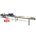 Hot selling Machine Cleaning Fruit With Manufacturer Price by Huafood