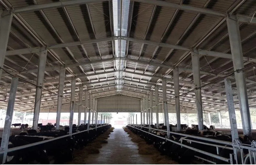 Wholesale 54 M2 Prefab Lightweight Steel Frame Garage Carport Storage Shed