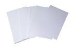PLA Film Biodegradable Compostable Packaging Film 300mm -1200mm