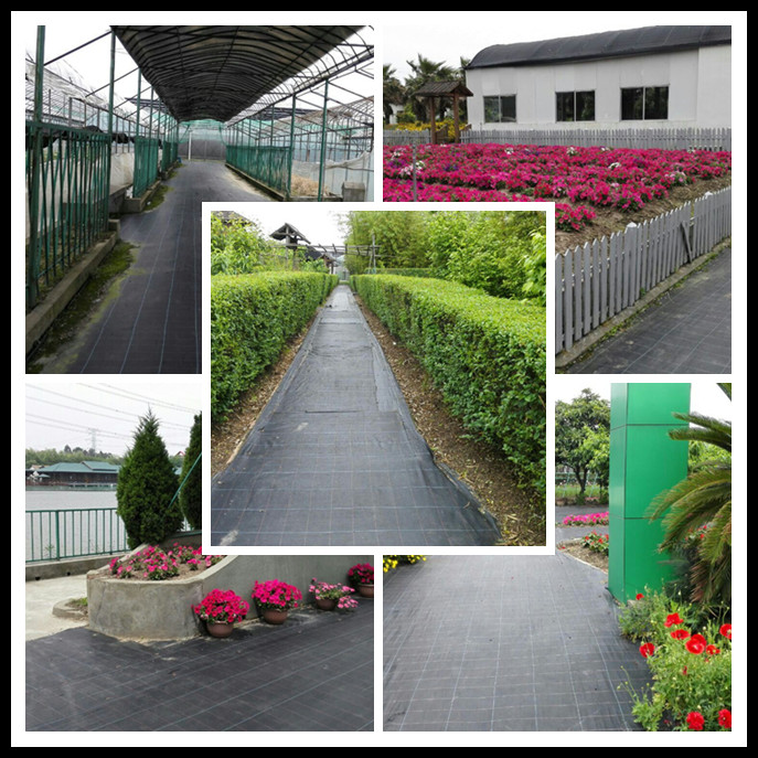 Black Acids Resistant Woven Geotextile Fabric / Polypropylene Black Woven Stabilization Fabric
