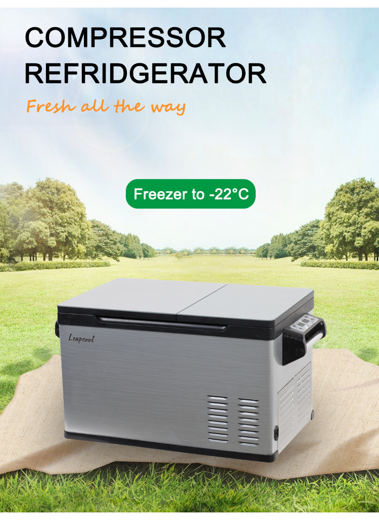 Portable Cosmetic Fridge 12V 24V 220V Mini Fridge Camping Fridge Freezer Refrigerator