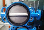 PTFE Lined Centric Butterfly Valve Self Lubricated Shaft Bear ATEX Wafer Type
