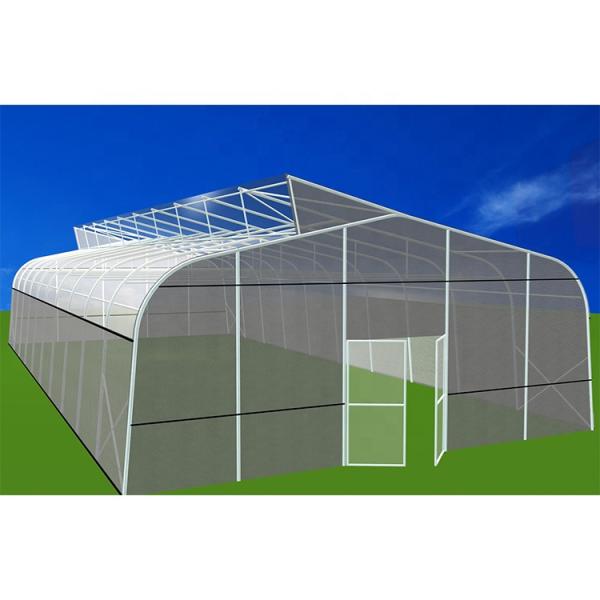UV Proof Greenhouse Hydroponics System Vegetables Growing Deep Water Culture System