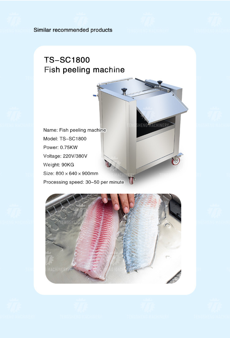 50PCS/Min Desktop Fish Processing Machine Grass Carp Peeler